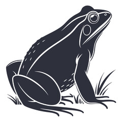 Obraz premium frog vector illustration