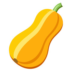 Illustration of a butternut squash, a nutritious and delicious vegetable, perfect for healthy meals and recipes