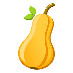Illustration of a pear shaped butternut squash, a nutritious and delicious vegetable, perfect for healthy meals