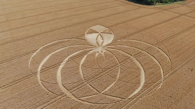 Aerial 4K footage video clip of a mysterious, intricate, geometric crop art, crop circle formation in a wheat/barley field near Cerne Abbas, Dorset, England, UK in 2025