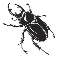 black beetle isolated on white background
