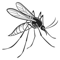 dragonfly on a white background
