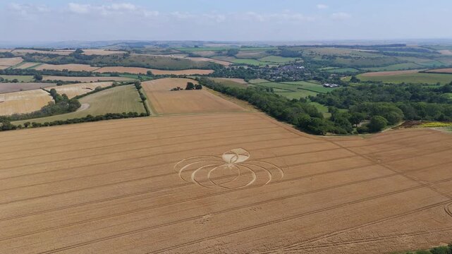 Aerial 4K footage video clip of a mysterious, intricate, geometric crop art, crop circle formation in a wheat/barley field near Cerne Abbas, Dorset, England, UK in 2025