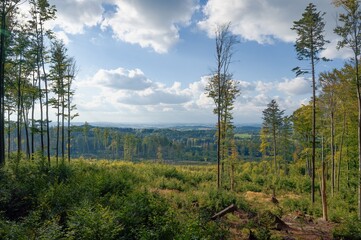 View from Křeme&scaron;n&iacute;k hill towards Putimov, Proseč pod Křeme&scaron;n&iacute;kem and Pelhřimov, autumn afternoon