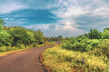 A road with trees on both sides