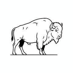 Obraz premium Stylized line art illustration of a powerful American bison, also known as a buffalo, symbolizing strength, wilderness, and the iconic wildlife of North America