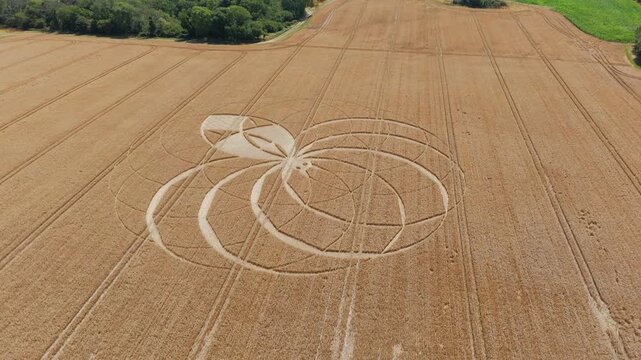 Aerial 4K footage video clip of a mysterious, intricate, geometric crop art, crop circle formation in a wheat/barley field near Cerne Abbas, Dorset, England, UK in 2025