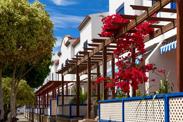 White and blue houses with red bougainvillea flowers and wooden pergolas in Puerto de las Nieves, Gran Canaria on a sunny summer day.