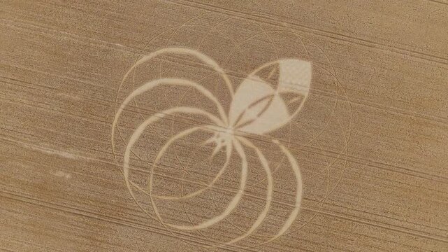 Aerial 4K footage video clip of a mysterious, intricate, geometric crop art, crop circle formation in a wheat/barley field near Cerne Abbas, Dorset, England, UK in 2025