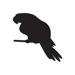 parrot silhouette vector 