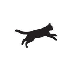 black cat on white background