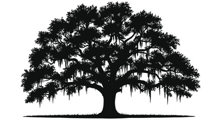 Majestic live oak tree silhouette majestic southern oak tree with spanish moss clinging to branches isolated on white background silhouette design isolated on white background