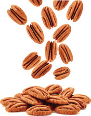 Falling pecan nuts illustration, natural organic food vector, healthy snack ingredient, brown nut kernel art, realistic seed design, delicious nutrition concept