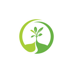 plant growth green leaf.eps