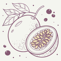 Illustration of passion fruit with leaves and seeds