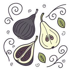 Fig and pear halves with leaves and swirls, a cute art