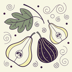 Fig and pear halves with leaf and swirls, a simple art