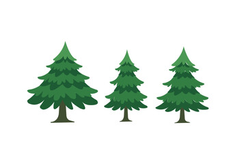 christmas tree isolated on white