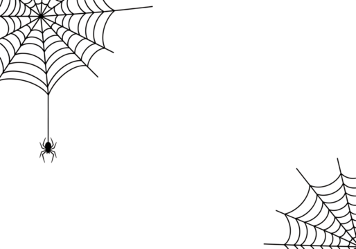 Delicate intricate spiderweb with a small spider hanging on a thread isolated on transparent background