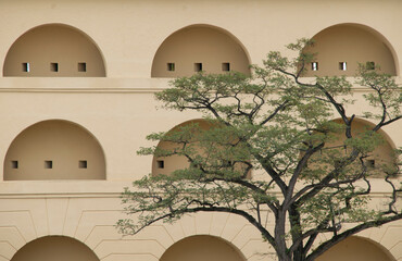 Teilansicht einer Mauer in der ehem. Befestigung in Ehrenbreitstein bei Koblenz