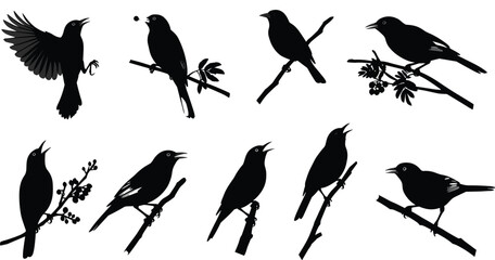 Bird silhouettes perched on branches, singing, flying, holding berries, nature wildlife vector, black profile illustration, decorative leaves, seasonal design, minimalist art