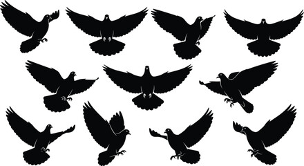 Flying pigeon silhouettes vector collection, dove bird black artwork, peaceful wildlife illustration, freedom and nature concept, animal design, sky symbol