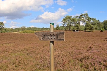 Die Kronsbergheide bei Amelinghausen in der Lüneburger Heide