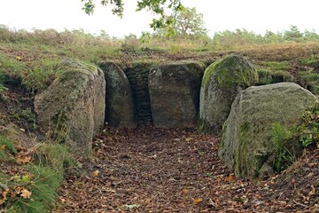 Großsteingrab in der Oldendorfer Totenstatt