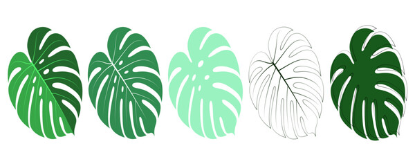 A set of five tropical Monstera leaf illustrations in various artistic styles and colors on a white background.