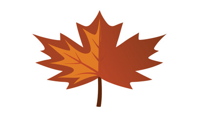 Fototapeta premium Autumn maple leaf with warm orange and brown tones