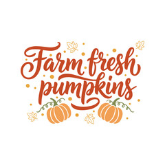The fall season is commonly associated with pumpkin patches, a favorite activity for picking fresh pumpkins to decorate or carve during autumn.