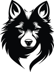 Fototapeta premium Schipperke head silhouette with pointed ears, thick ruff, and intense gaze in black vector