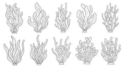Elegant seaweed collection design illustration for underwater decorative composition concepts