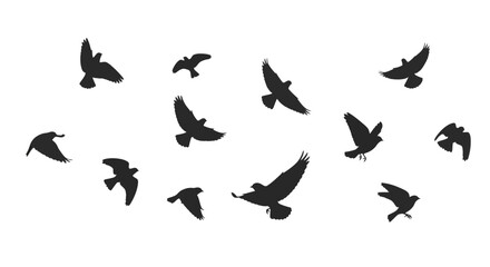 Ethereal avian silhouettes captured mid-flight against a stark white backdrop creating dynamic