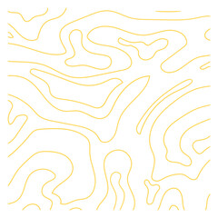 Topography Pattern
