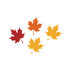 Maple leaves in shades of red, orange and yellow are shown against a white background and they represent the changing seasons.