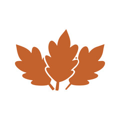 Three copper-colored oak leaves come together in this illustration, evoking the essence of the autumn season and changing foliage.