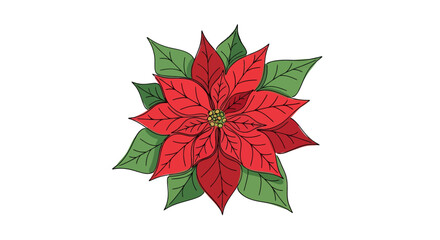 Vibrant poinsettia illustration with dynamic line art capturing holiday season essence