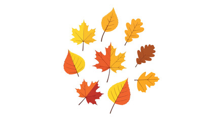 Colorful Autumn Leaves Collection in Flat Vector Style,
Vector illustration of a collection of autumn leaves in shades of yellow, orange, and brown.