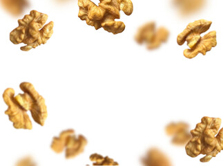 Flying walnut and nutcracker