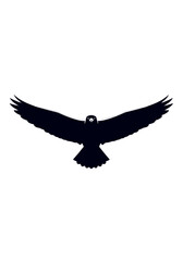 Fototapeta premium Flat Design Flying Bird of Prey Silhouette