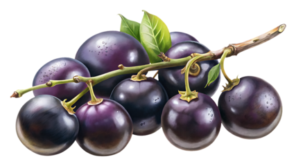Artistic rendering of Damson plums on a branch with dewdrops glistening
