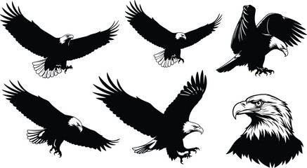 Bald Eagle Silhouette Vector Set, Flying and Hunting Poses, Detailed Head Illustration, Perfect for Logos, Tattoos, and Designs