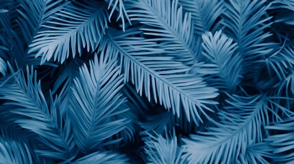 Blue spruce close-up showing its unique needles detail pattern background