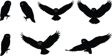 Obraz premium Black owl silhouettes set, flying and perched bird shapes, nocturnal wildlife icons, raptor wings spread, predator animal illustration collection design