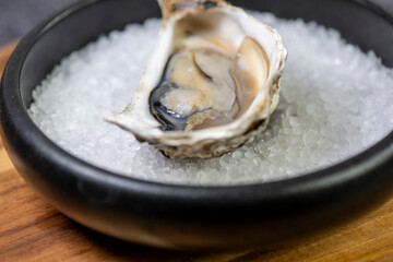 Open oyster