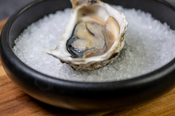 Open oyster