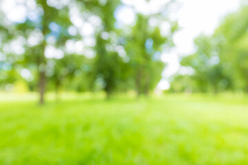 blur natural and light background in the park,blurred background, park, woods, nature, bokeh,...