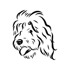 bobtail, dog breed, vector sketch