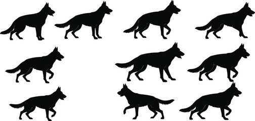 German Shepherd dog silhouettes walking standing running poses, black animal outline collection, pet movement illustration, domestic canine breed vector design